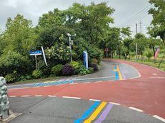 -上海长兴岛郊野公园