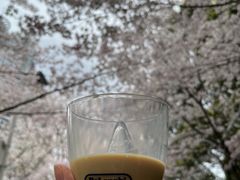 -陆家嘴中心绿地