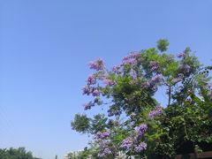 -重庆彩云湖湿地公园