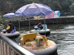 -杭州少年儿童公园