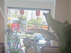 -有位虾匠·香辣蟹·小龙虾(李村店)