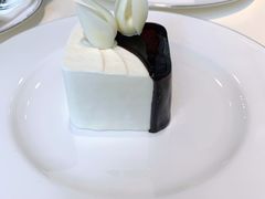 -BLACKSWAN黑天鹅(环球店)