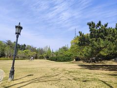 -青岛海滨风景区
