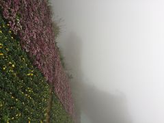 石门国家森林公园-广州市石门国家森林公园