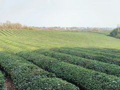 -敬亭山风景名胜区