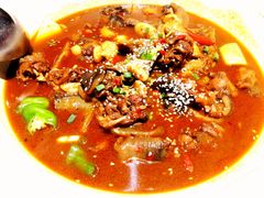 湖塘甲鱼-甲鱼张甲鱼铺子(观沙岭店)