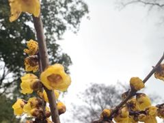 -无锡梅园公园