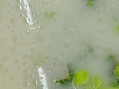 -清香海鲜餐厅(青澳湾地标美食店)