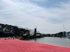 -上海鲜花港