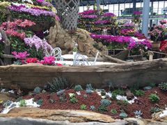 -南通洲际绿博园