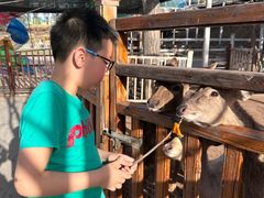 -北京鹿世界主题园