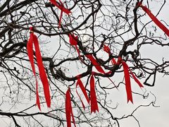 -开福禅寺