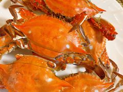 -禾斗海鲜自助(市南银座店)