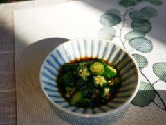 -吉丁鸟咖·异宠·寄养