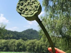 -天下玉苑