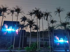 -三亚红色娘子军演艺公园景区