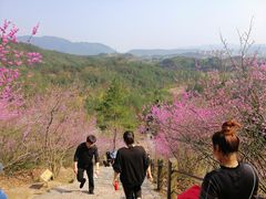 -天台山赤城山景区