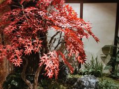 -谜·沉浸侦探剧本杀推理馆(静安店)