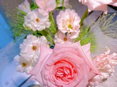 -Tomacado花厨(One ITC店)