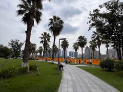 -金沙湖公园