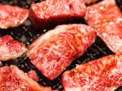 -和牛放题的殿堂 肉屋横丁(秋叶原店)