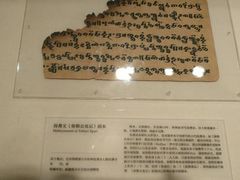 -北京大学赛克勒考古与艺术博物馆