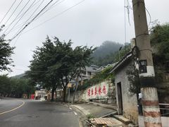 -老幺泉水鸡