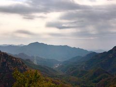 -大岭沟猕猴桃谷风景区