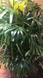 -艺米阳光Hair Salon