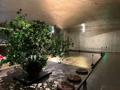 -隐溪茶馆(静安寺店)