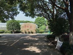 -宏泰园蔬果专业合作社