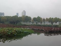 -金银湖国家城市湿地公园