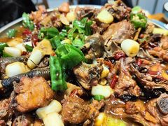 -蒙阴县光棍鸡店(蒙山店)