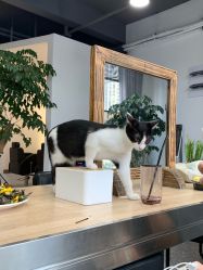 -In Beauty印诺时尚美发沙龙