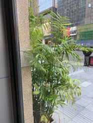 -不迫先生专业男士剪发