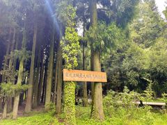 -武陵山森林公园