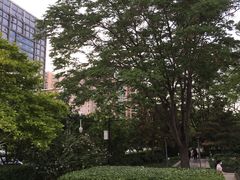-金宫殿故址