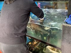 -全乐鱼馆·淳牌有机鱼直营店