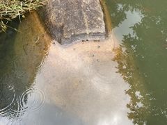 -太湖源风景区