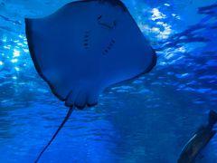 -泉城欧乐堡海洋极地世界