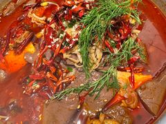 -洋洋中餐馆·SINCE 1997(信投店)