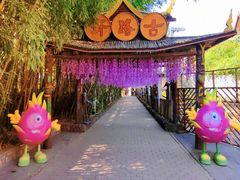 -呀路古热带植物园