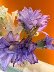 -丽都整形美容医院·全国连锁旗舰店