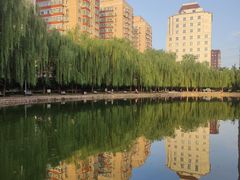 -团结湖公园