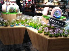 -酷乐潮玩(颛桥万达店)