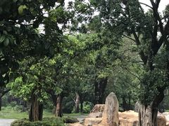 景点-湖泉半山温泉