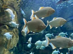 -波塞冬旅游度假区