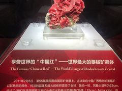 -湖南省地质博物馆