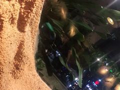 -愿者上钩(龙华华润万家店)