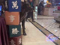 -盛宴标帜餐厅·亲子自助 (南昌喜来登酒店)